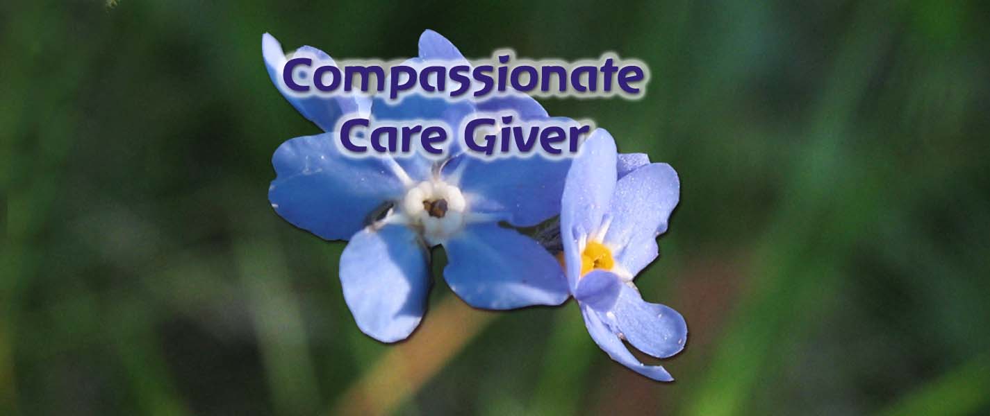 essay on compassionate care